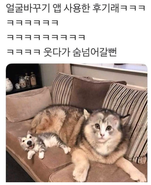 6950dd94cc2219044b233ec6cdd1878d_1742390454_0804.png