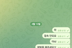 트로피 먹튀