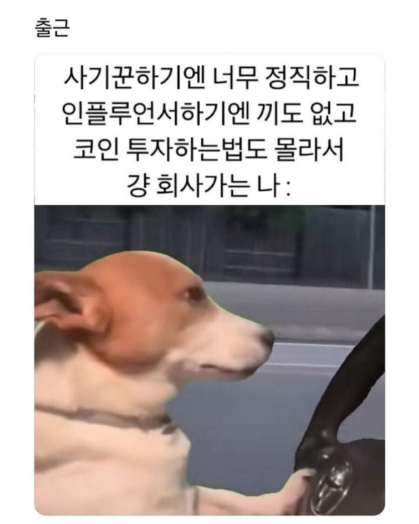 fc01bb7a9869a91c4c76e1cb5e143429_1745811657_5993.png