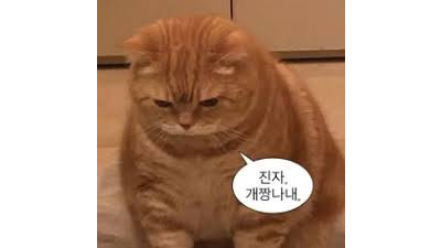 다른애 픽 따라갔다가